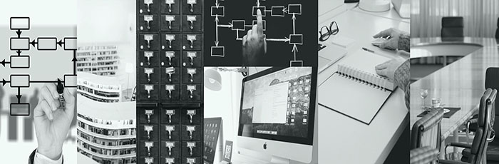 Organizzazione