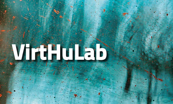 VirtHuLab - Virtual Human Dynamics Laboratory